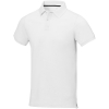 Kategorie anzeigen: Poloshirts