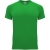 Bahrain Sport T-Shirt für Herren Green Fern