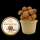 Bio Candy Cup 100 Gramm Schokoladentrüffel (i Standaard