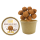Bio Candy Cup 145 Gramm Schokoladentrüffel (i Standaard