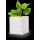 Blumentopf Merin 