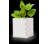 Blumentopf Merin