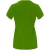 Capri damesshirt met korte mouwen Grass Green