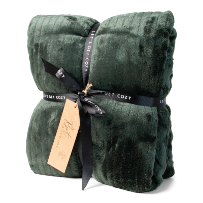 Bild des Werbegeschenks:JENS Living Gift Plaid RPET Groen