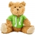 Plüsch-Teddybär Monty groen