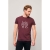 REGENT F heren t-shirt 150g rood