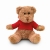 Teddybär mit Hoody  rood