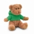 Teddybär mit Hoody  groen