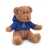 Teddybär mit Hoody  blauw