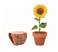 Terracotta-Topf Sonnenblume bedrucken