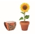 Terracotta-Topf Sonnenblume hout