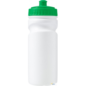 Bild des Werbegeschenks:Trinkflasche aus Kunststoff Demi