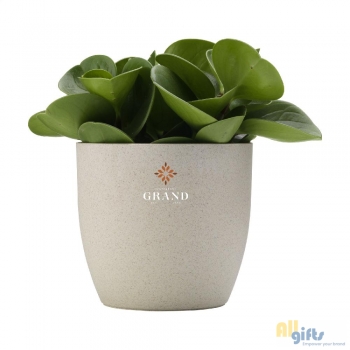 Bild des Werbegeschenks:Vibers™ Flowerpot Blumentopf