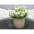 Vibers™ Flowerpot Blumentopf naturel