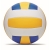 Volleyball multicolour